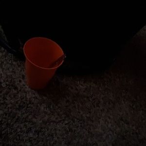 Meet your Posher, Lindsay